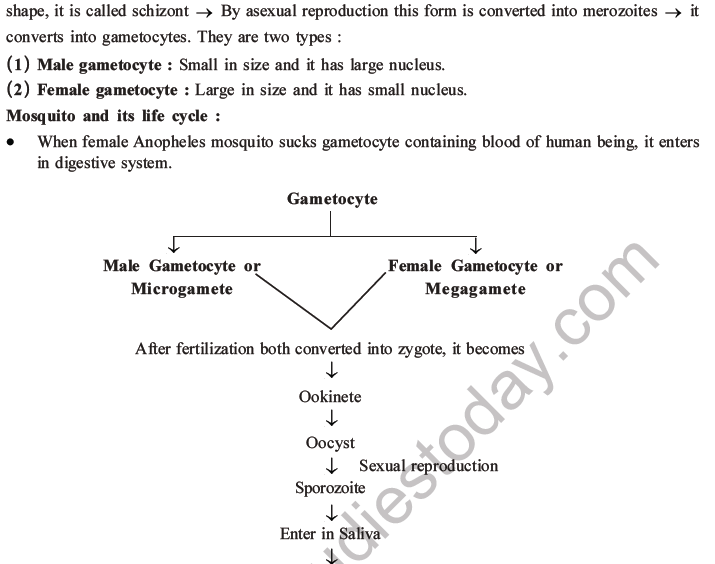 NEET Biology Human Health And Diseases MCQs Set B, Multiple Choice ...